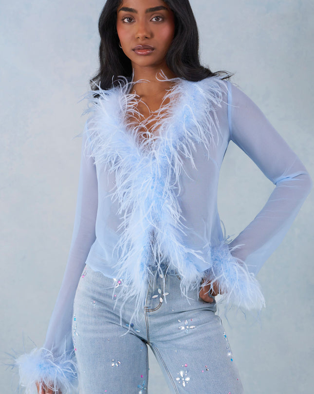 Soft Blue Feather Trim Sheer Top