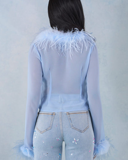 Soft Blue Feather Trim Sheer Top