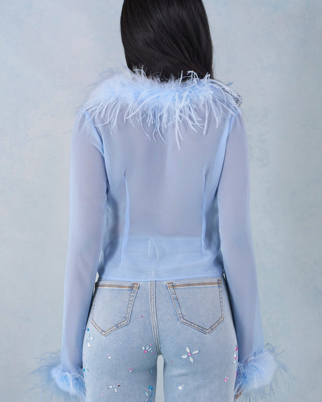 Soft Blue Feather Trim Sheer Top