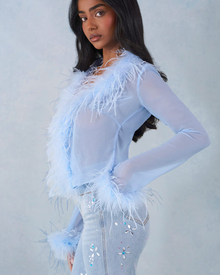 Soft Blue Feather Trim Sheer Top