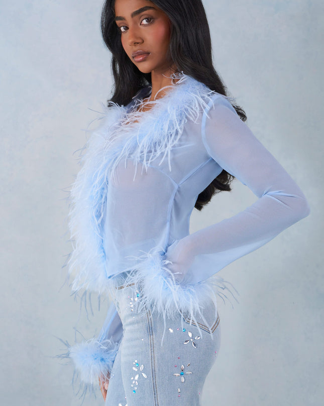 Soft Blue Feather Trim Sheer Top