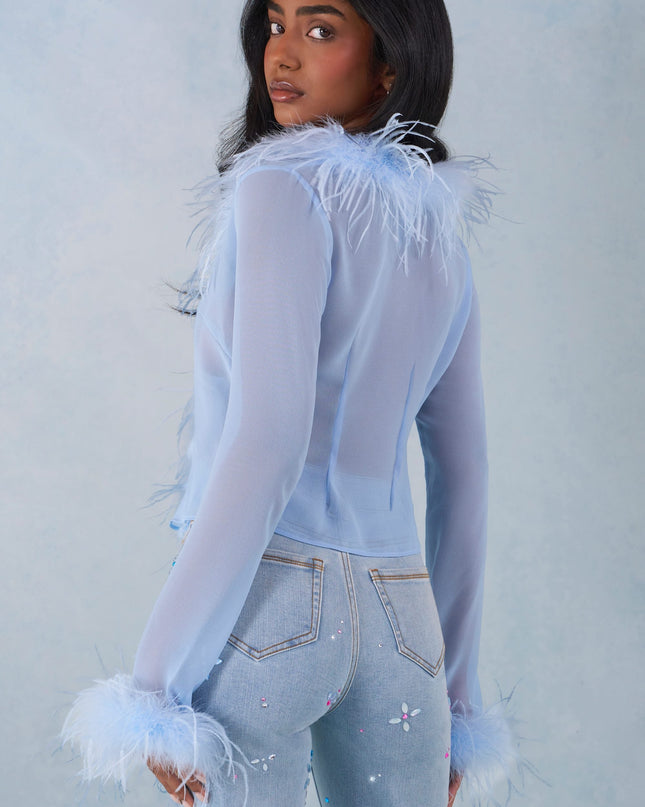 Soft Blue Feather Trim Sheer Top