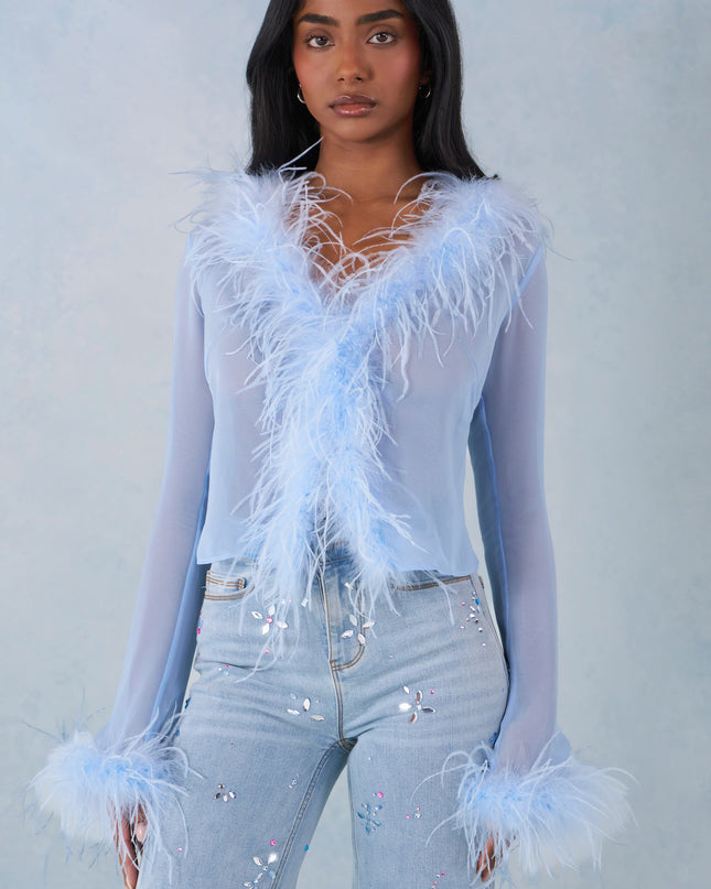 Soft Blue Feather Trim Sheer Top