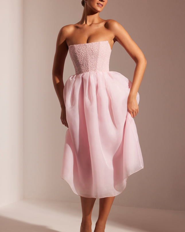 Blush Embellished Corset Tulle Skirt Midi Dress