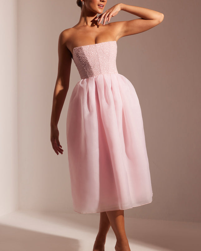 Blush Embellished Corset Tulle Skirt Midi Dress