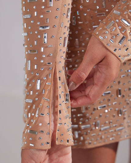 Honey Sheer Embellished Long Sleeve A-Line Mini Dress