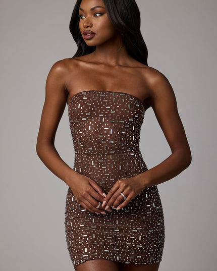 Deep Cocoa Sheer Embellished Bodycon Mini Dress