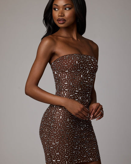 Deep Cocoa Sheer Embellished Bodycon Mini Dress