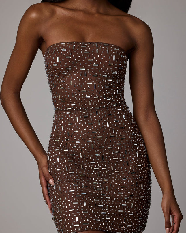 Deep Cocoa Sheer Embellished Bodycon Mini Dress