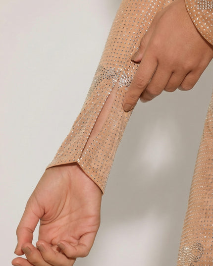 Almond Embellished Mid-Rise A-Line Mini Skirt